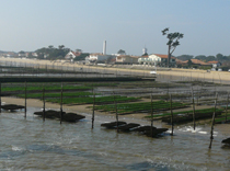 21ème Forum Aditel <br /> Arcachon 2011